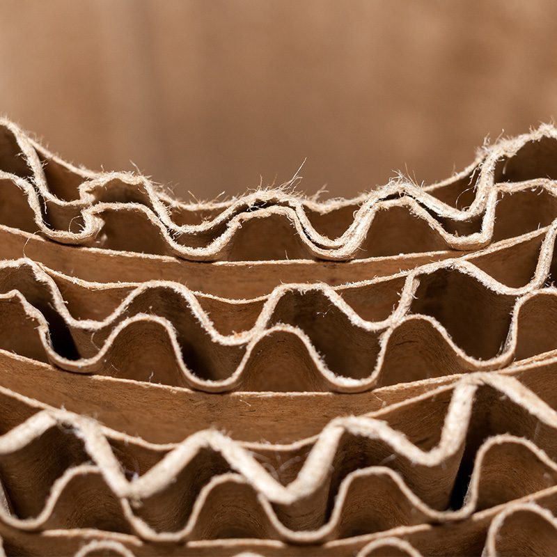 segmento-grafica-corrugado-1×1